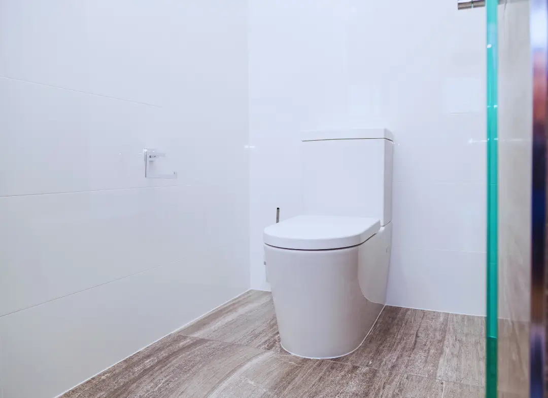 Remplacement de wc Saint-Hilaire-de-Brethmas