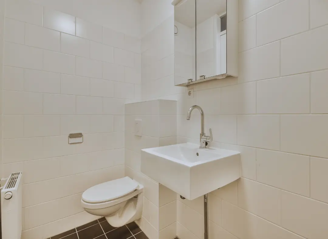 Pose WC Suspendu Saint-Hilaire-de-Brethmas